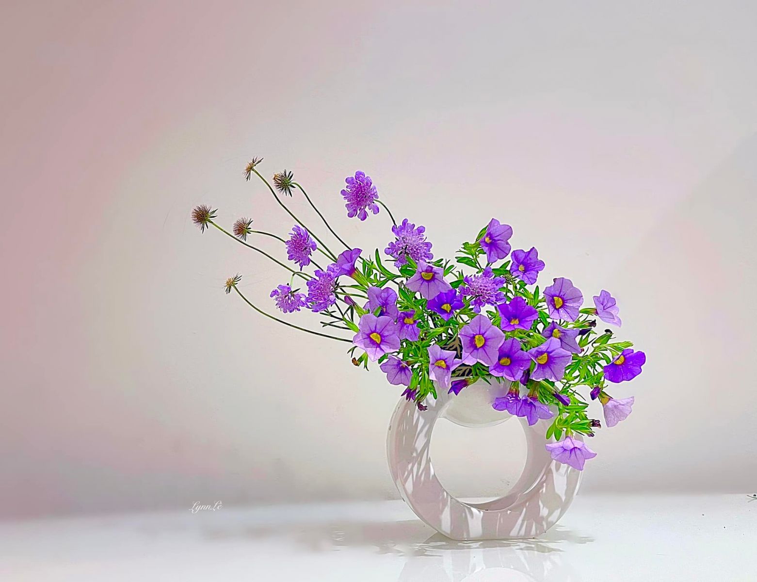 Tử vi ngày 5/6/2022 của 12 cung hoàng đạo